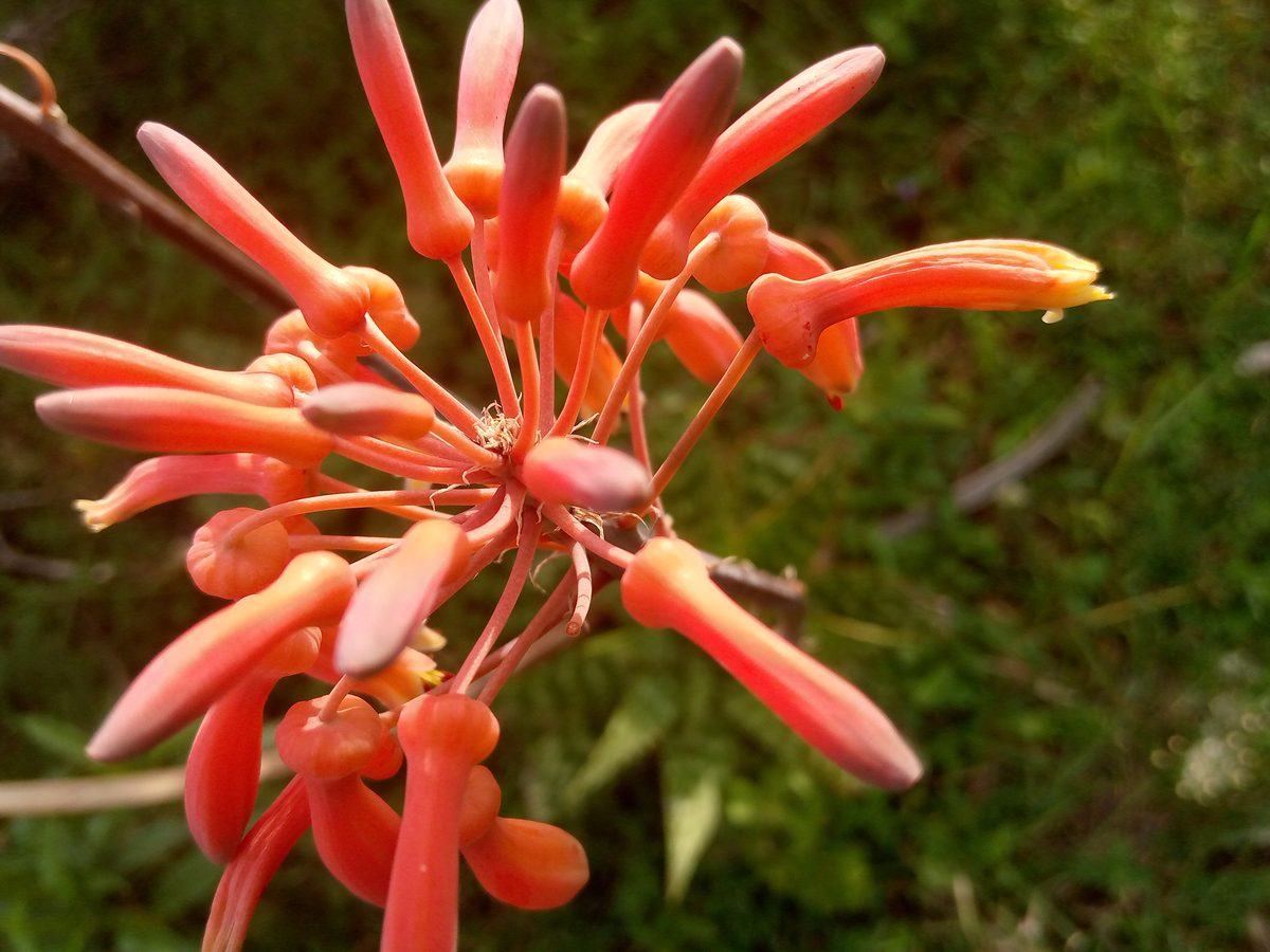 Captured in Nyeri, where nature quietly tells it stories. T…